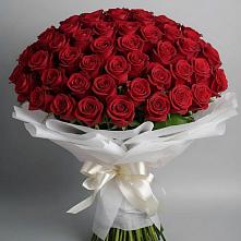 Букет 101 Красная роза Блэк Мэджик в Унече